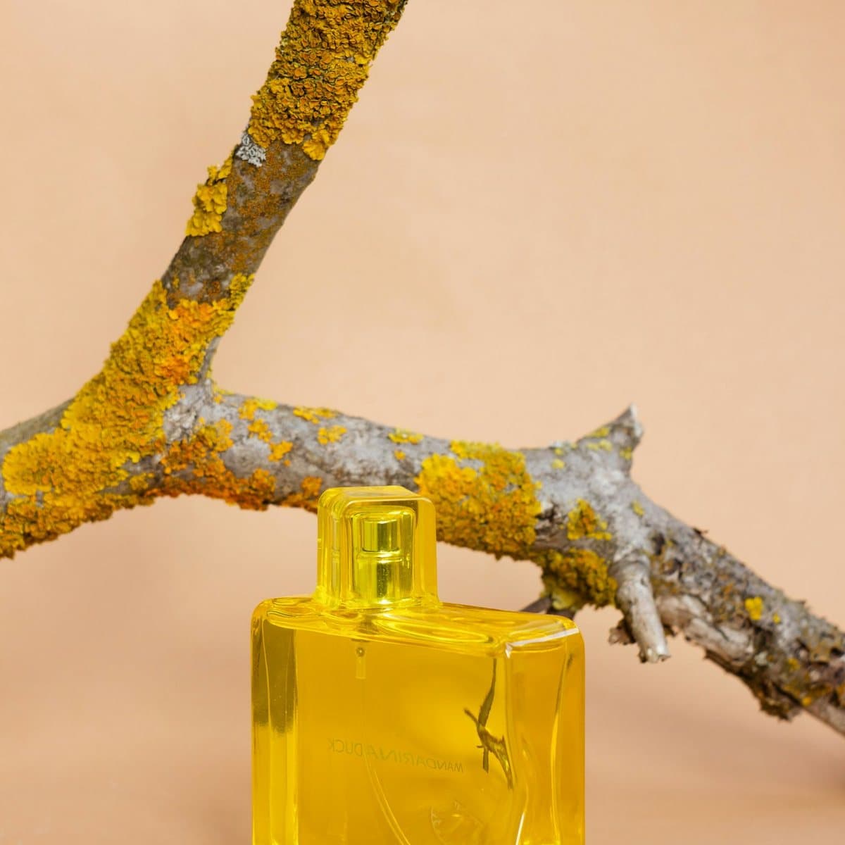 Citrus Nimbu